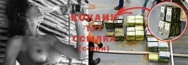 хмурый Абаза
